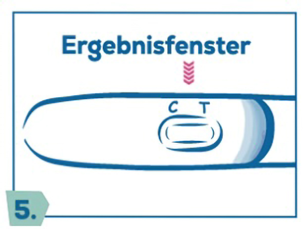 Beschriftetes Ergebnisfenster mit Markierungen für Kontroll- und Testlinie