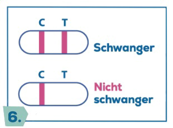 Darstellung der Testergebnisse für schwanger und nicht schwanger anhand der Linienanzeige