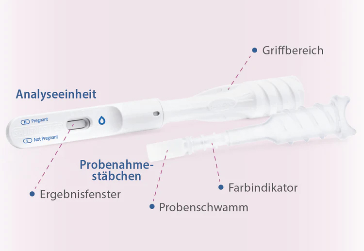 Beschrifteter Schwangerschaftstest mit Analyseeinheit, Ergebnisfenster, Probenschwamm und Farbindikator